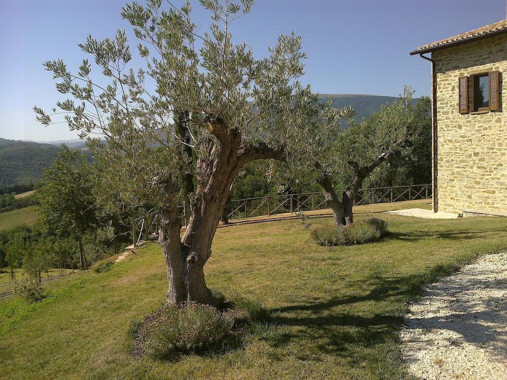 Agriturismo Paradiso 44 Assisi Exterior photo