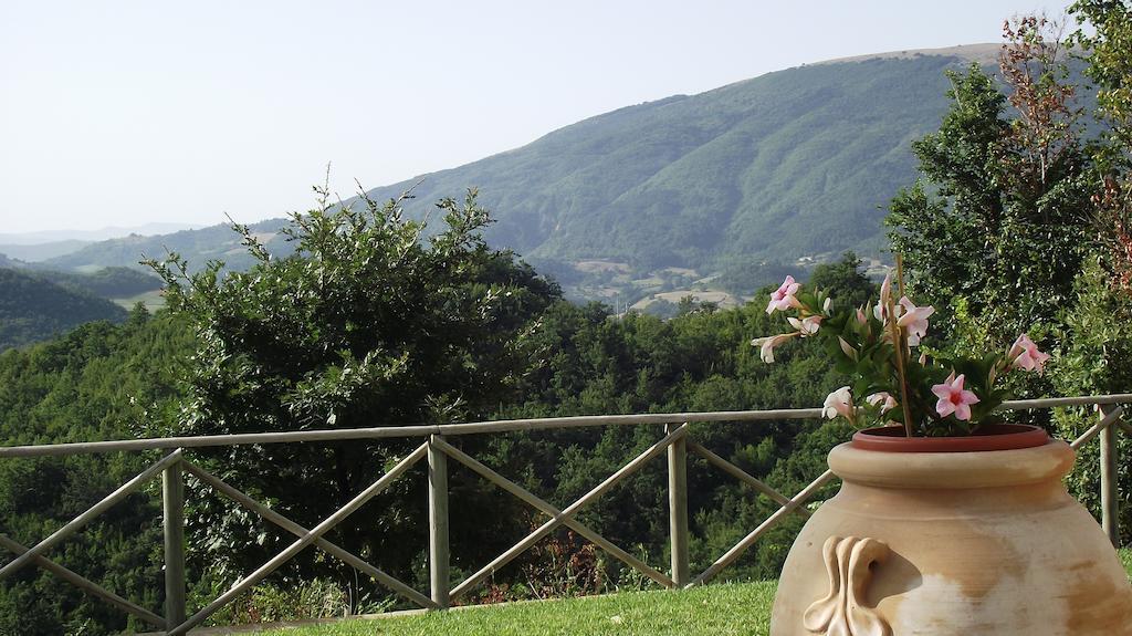 Agriturismo Paradiso 44 Assisi Exterior photo